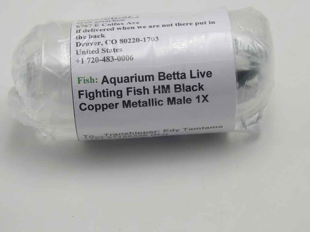Printed customer details on betta export package